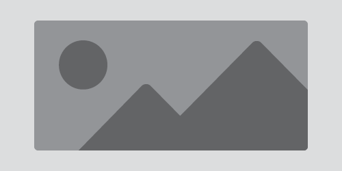 Depiction of an image module