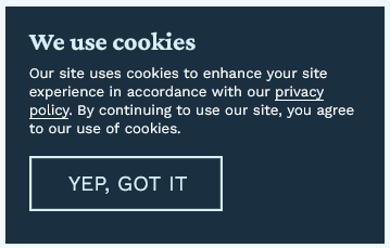 Pop up for Privacy policy "this site uses cookies"